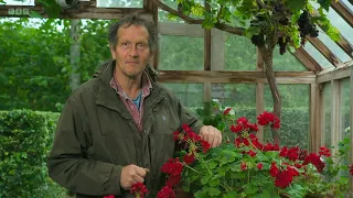 Gardeners' World 2023🍀Episode 31