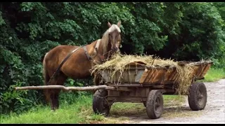 За табаком в город Усмань  Филиппов Евгений  Филиппова Мария