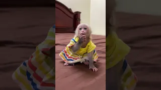 Brave to Baby Linda wait for Mom