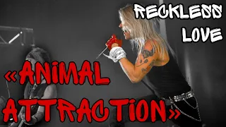 Reckless love - 《Animal attraction 》 live at Wacken 2019