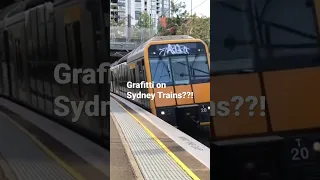 Bruh, there’s Grafitti on Sydney Trains???!!!! These people that are doing grafitti are idiots.
