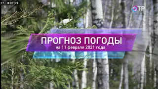 Прогноз погоды #2 на 11 февраля 2021 года. ОТР.