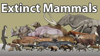 Extinct Mammals Size comparison in 2024 | Rendom list of Prehistoric mammals Size Comparison in 2024