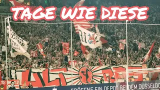 Fortuna Fans singen "Tage wie diese" I Düsseldorf vs. Hertha BSC I 2.Bundesliga Juli 2023