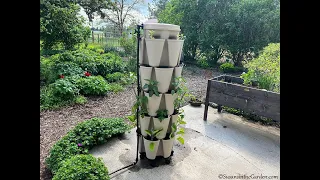 GreenStalk Vertical Planter + Automatic Watering System: Everyone Can Grow a Garden (2023) #20