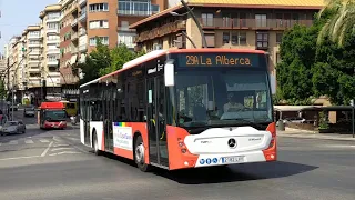 Circulación por la ciudad de Murcia autobuses TMP BUS Monbus y Movibus Alsa - (Murcia) 2