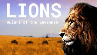 KINGS of the Savannah: The Life of a Lion