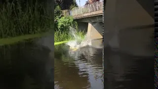 Teen Jumping off Bridge into River Belly Flops Hard on Water - 1059812