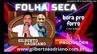 folha seca - gilberto e adriano (cover)