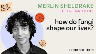 Merlin Sheldrake, The Entangled Life: How Fungi Make Our Worlds, Change Our Minds, Shape Our Future