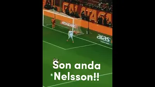 SON ANDA NELSSON!!!!