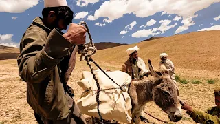 The Wandering Tribes of Afghanistan: A Fascinating Journey into the World of Kochi Nomads