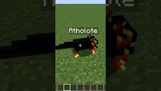 achei a nova variação de axolote no minecraft @Athosgamer