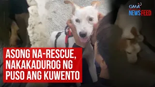 Asong na-rescue, nakakadurog ng puso ang kuwento | GMA Integrated Newsfeed