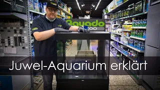 Das meistgekaufte Aquarium erklärt - Tipps & Tricks für Juwel-Aquarien | Aquado-Zoo Dortmund