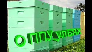 Профессор Пашаян про ППУ улья