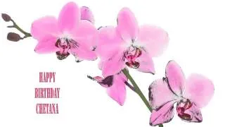 Chetana   Flowers & Flores - Happy Birthday