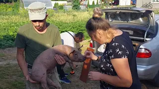 //Все буде🇺🇦Ліда з Котельви забрала подарунок,300км і ракети не зупиили її//Слава Україні//