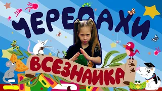 ВСЕЗНАЙКА. Черепахи