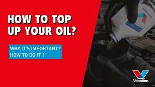 How to CHECK and TOP UP your ENGINE OIL | What do the MARKINGS on the dipstick mean?