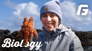 Exploring Oregon Coast Tide Pools with Biology Students 🌊🦀 | George Fox University