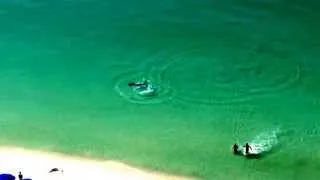 Destin Large Hammerhead Shark near miss! August 24th 2014