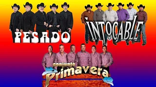 CONJUNTO PRIMAVERA, INTOCABLE Y PESADO DESDE LA CANTINA