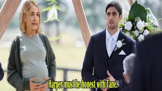 Home and Away Spoilers: Harper confirms she is pregnant with Tane's child