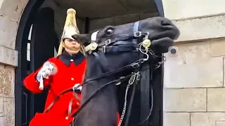 King's Horse gets SPOOKED and runs off down the street as Guard keeps control!