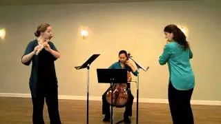 Haydn London Flute Trio No 1: Andante