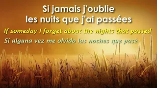 Si jamais j'oublie   ZAZ Subtitles in English and Spanish