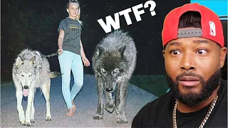 15 Most Dangerous Animals Kept As Pets | REACTION