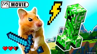 Hamster survival in Minecraft Ep.1 😱 Hamster vs Creeper and Zombie 😱 Homura Ham