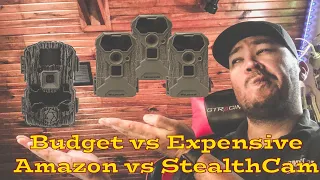 StealthCam vs Amazon Trail Cameras The Results - FPS Outdoors