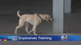 K-9 Officers Get Explosives Training