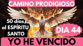 Día 44🙏🔥 CAMINO PRODIGIOSO 50 DÍAS AL ESPÍRITU Santo/VIRGEN DE FATIMA ruega por nosotros 🙏