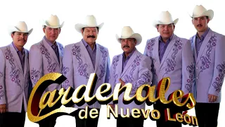 LOS CARDENALES DE NUEVO LEON   MIX   SOLO DOLIDAS