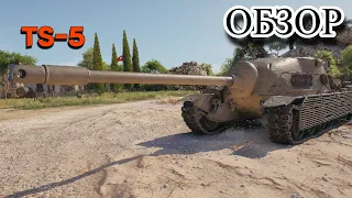 ГАЙД - ОБЗОР НА TS-5 (ЛУЧШАЯ СРЕДИ ЛУЧШИХ)