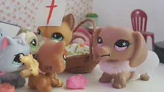 Littlest Pet Shop: Mikuláš 2021(Mini film)| LPS Em. ma