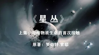 人类与暗物质生命的首次接触：科幻巨著《星丛》上集