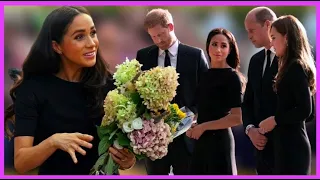 Awkward Moment!Meghan Markle Was Ignored By Royal Well-wisher During Walkabout At Windsor