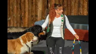 Festival in Germany with Dogs /The Elspe Festival Dressurshow (Dogs & Horses) #Festival