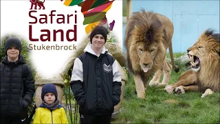 Safari Land Stukenbrock - Hier laufen Löwen und Tiger vor dem Auto |Erlebnispark