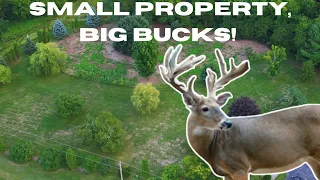 5 Acres Is All You Need! Small Hunting Property