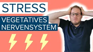 ⚡Stress und vegetatives Nervensystem - Ist das der Grund für deine Beschwerden?