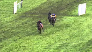 Have you seen anything like it? Amazing horse race at Wincanton