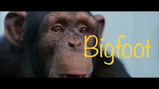 Bigfoot trailer 2020