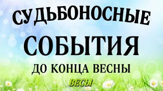 🔴 ВЕСЫ, ♎️,ТРИ СУДЬБОНОСНЫХ ☘️ СОБЫТИЯ до конца 🌷ВЕСНЫ, таро,таро расклад,анназверева таро,