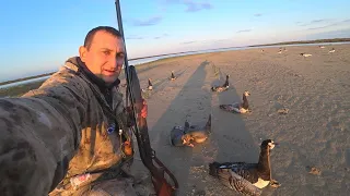 ОХОТА НА ГУСЯ / добыл 22 гуся за три часа / GOOSE HUNTING