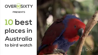 10 best bird watching spots in Australia